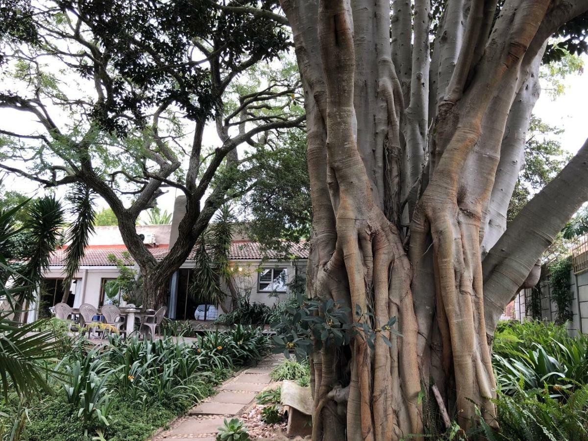 Hotel The Wild Fig Durbanville Zewnętrze zdjęcie